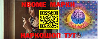 индика Сланцы