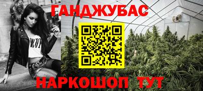 индика Сланцы