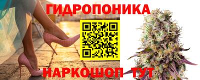 амф Славгород